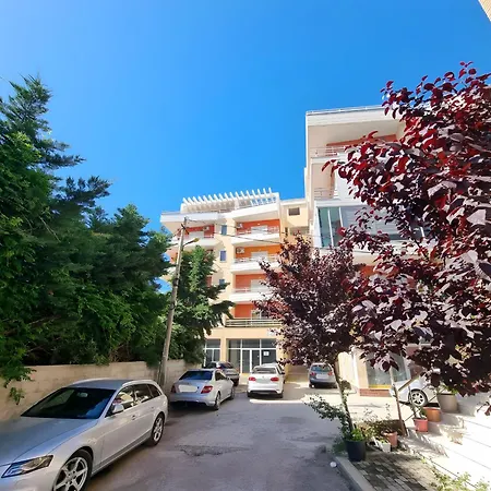 Thoma's K Vlore